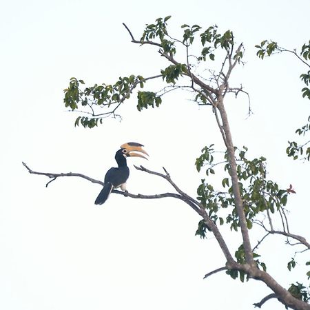 Pelican View Cottages カタラガマ エクステリア 写真