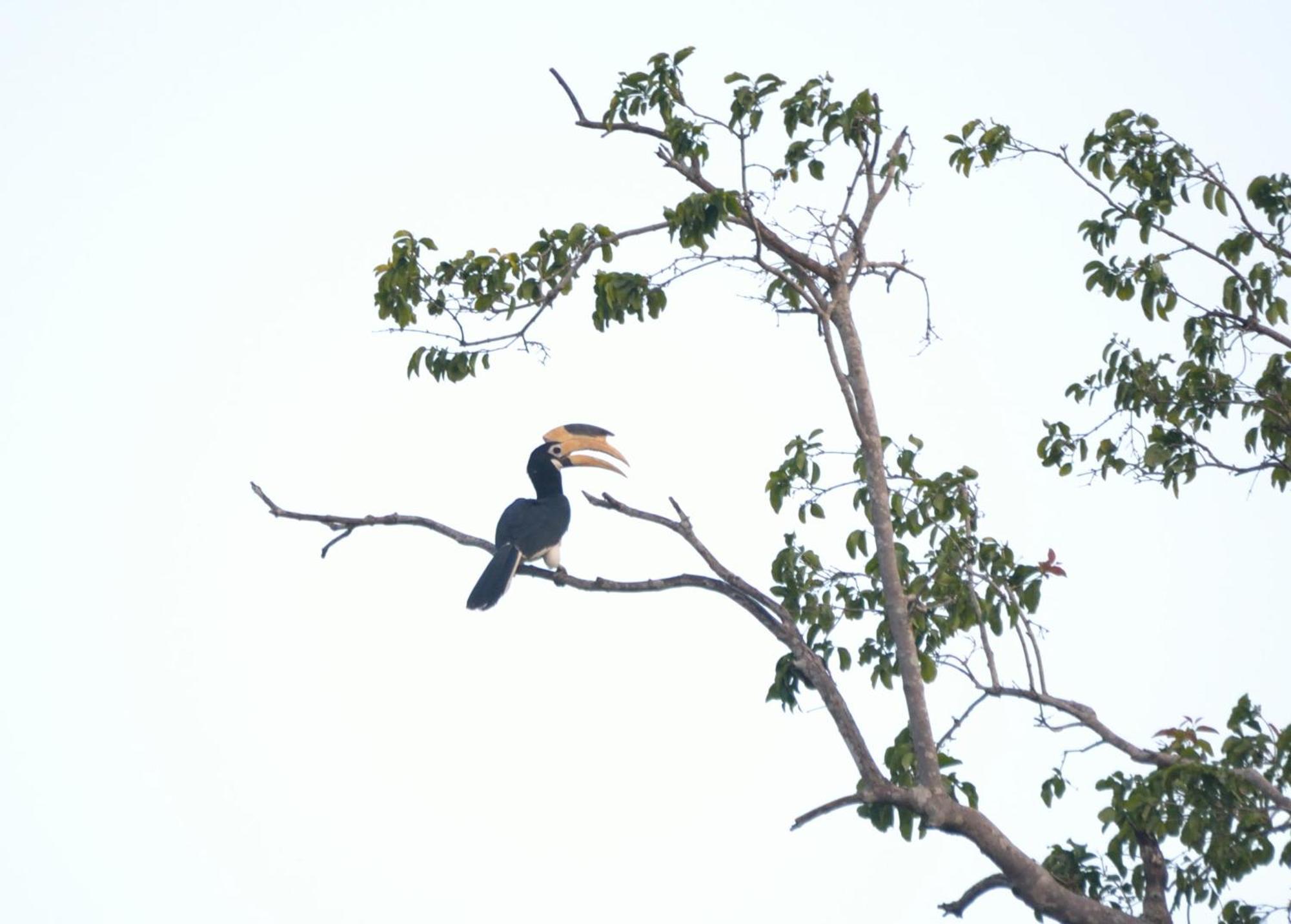 Pelican View Cottages カタラガマ エクステリア 写真